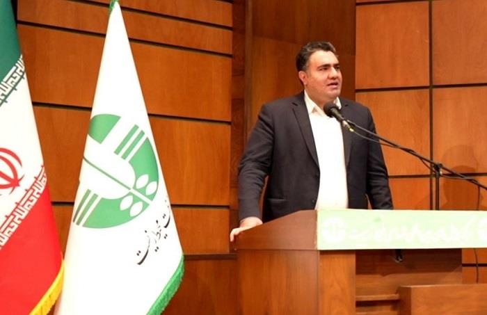 کتابخانه‌ها، رگ‌های حیاتی فرهنگ و محیط زیست هستند